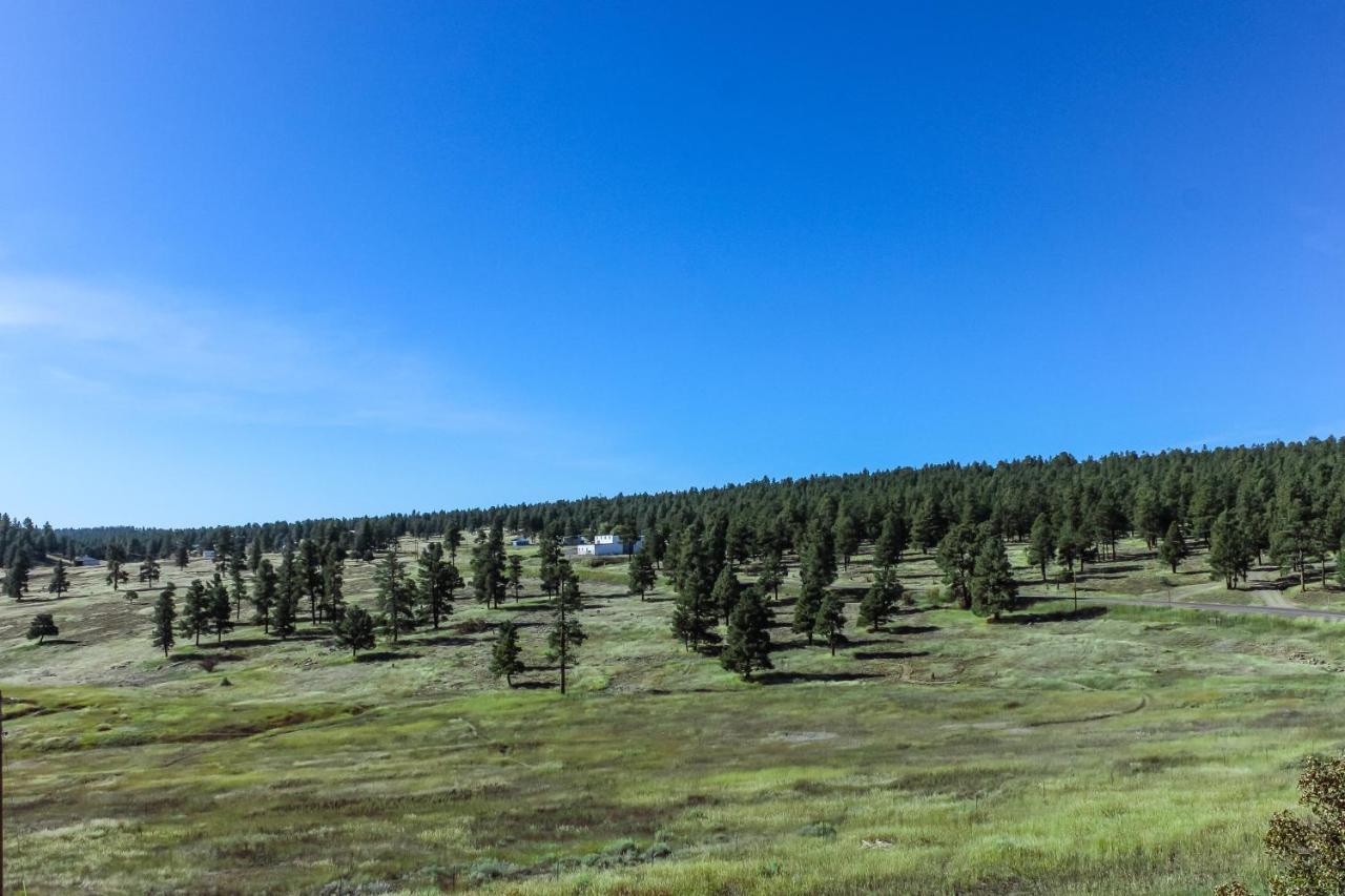 Split Pine Cabin パゴサ・スプリングス エクステリア 写真